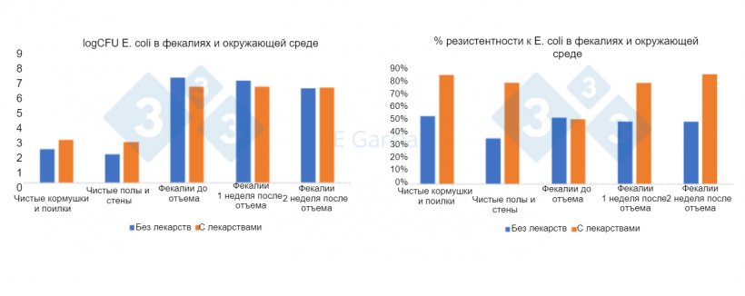 Фото 2. Уровни E. coli и процент устойчивости&nbsp;на фермах, использующих или не использующих антибиотики и оксид цинка в корме.
